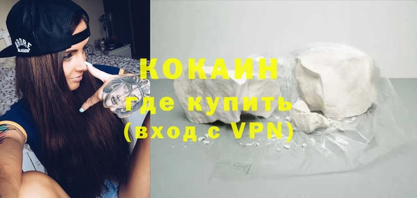 стаф Алзамай