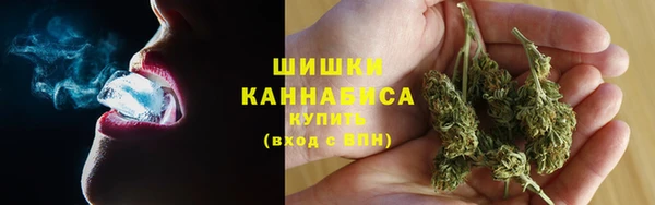 PSILOCYBIN Алексеевка