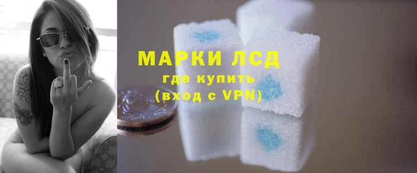 стаф Алзамай