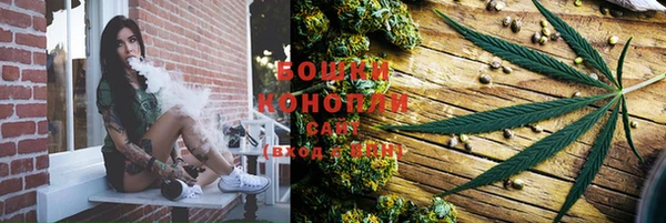 PSILOCYBIN Алексеевка