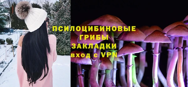 PSILOCYBIN Алексеевка
