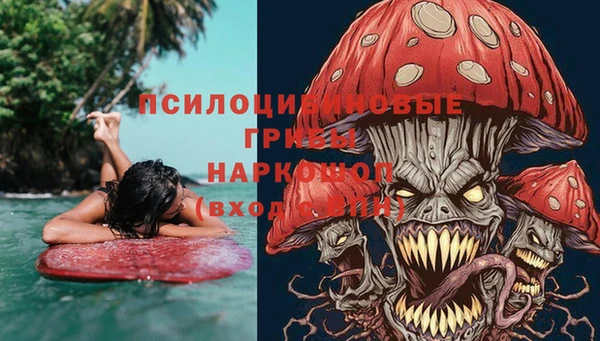 PSILOCYBIN Алексеевка
